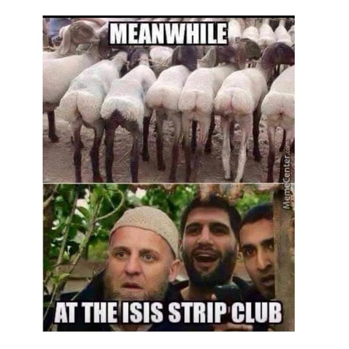 Овца хач. Овца хач. Смешной баран. Поздравления от ашота. Барашек с человеческим лицом дагестан.