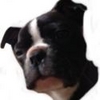 LilMite