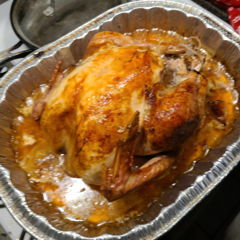 Admiral Richard E Byrd