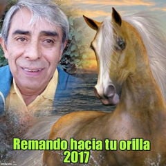 Remando hacia tu orilla