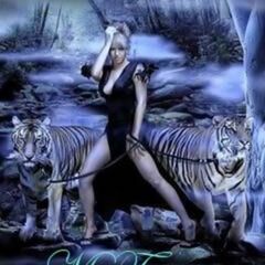Essence Of A Tigress