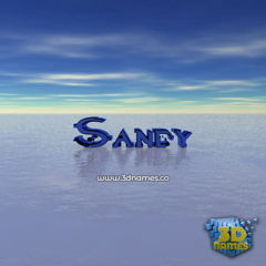 sandy2181