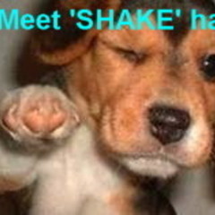 SHAKE-1000
