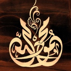 mhmoud_1983