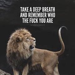 junkyarddogg_jyd